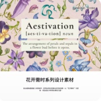 Aestivation Floral Collection