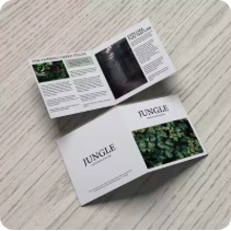 Custom Folded Brand Brochure