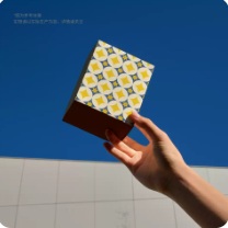 Brocade Geometry Coffee Carton